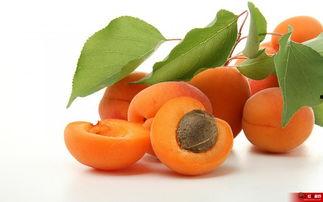 娱乐吃瓜酱小冻梨,揭秘娱乐圈那些不为人知的幕后故事